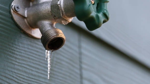 Best Plumbing Repair Near Me  in Rainier, WA
